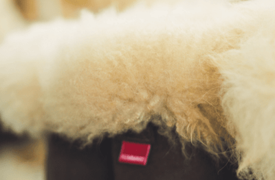 Quelques secrets bien gardés sur la laine d'alpaga